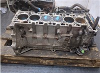 12491862 Блок цилиндров (Шорт блок) Chevrolet Trailblazer 2001-2010 9104959 #7