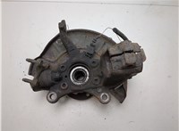 1K0407255AA, 5K0498621 Ступица (кулак, цапфа) Skoda Octavia (A5) 2004-2013 9105321 #8