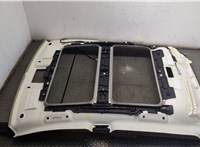  Обшивка потолка (Накладка) Acura ZDX 2009-2013 9112676 #2