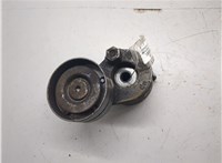  Натяжитель приводного ремня Renault Megane 2 2002-2009 9121877 #5