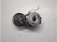  Натяжитель приводного ремня Renault Megane 2 2002-2009 9121877 #6