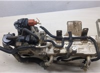  Охладитель отработанных газов Opel Antara 9123718 #1