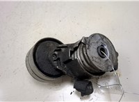  Натяжитель приводного ремня Renault Scenic 2003-2009 9132317 #4