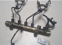  Рампа (рейка) топливная Honda Civic 2001-2005 9145545 #1