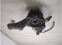 5175025001, 5171525500 Ступица (кулак, цапфа) Hyundai Santa Fe 2005-2012 9153753 #2