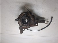 5175025001, 5171525500 Ступица (кулак, цапфа) Hyundai Santa Fe 2005-2012 9153753 #6