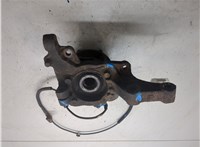 5175025001, 5171525500 Ступица (кулак, цапфа) Hyundai Santa Fe 2005-2012 9153753 #7