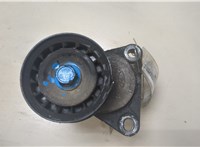  Натяжитель приводного ремня Ford Mondeo 3 2000-2007 9154113 #1