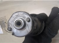 1004549, 96BF6A228AB Натяжитель приводного ремня Ford Fiesta 1995-2000 9154795 #3