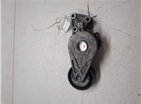 038903315 Натяжитель приводного ремня Volkswagen Transporter 5 2003-2015 9170244 #5
