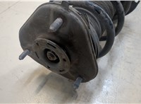 4851080813, 4813147180 Амортизатор подвески Toyota Prius 2015-2019 9172613 #4