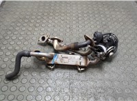 038131513L Клапан рециркуляции газов (EGR) Seat Alhambra 1996-2010 9173007 #6