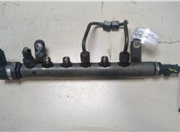 LR001321 Рампа (рейка) топливная Land Rover Freelander 2 2007-2014 9175063 #1