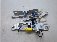 41007270884, 7270884 Петля капота BMW 5 F10 2010-2017 9183237 #4