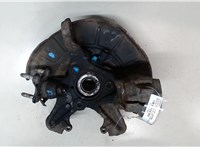 1K0407255T, 1K0498621 Ступица (кулак, цапфа) Skoda Octavia (A5) 2004-2008 9199508 #3