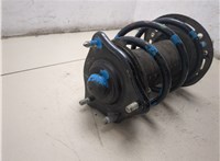 51621TGNE01, 51406TEDQ11 Амортизатор подвески Honda Civic 2015-2022 9201795 #8