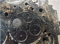 1433148, 6C1Q6C032BA Головка блока (ГБЦ) Ford Transit 2006-2014 9204755 #9