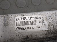 4E0121251 Радиатор интеркулера Audi A8 (D3) 2007-2010 9205218 #5