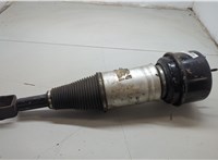 C2C41352, 2W935C304TK Амортизатор подвески Jaguar XJ 2003–2008 9207117 #5