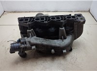 A6460781241, A6461420179 Коллектор впускной Mercedes Sprinter 2006-2018 9207331 #9