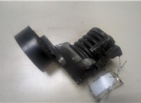 F23359752 Натяжитель приводного ремня Volkswagen Polo 2001-2005 9211938 #1