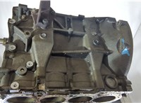  Блок цилиндров (Шорт блок) Ford Fusion 2002-2012 9213393 #8