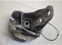 6850289 Ступица (кулак, цапфа) BMW X5 E70 2006-2013 9220632 #8