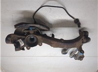 8D0407254C, 4A0407615G Ступица (кулак, цапфа) Volkswagen Passat 5 2000-2005 9224729 #7