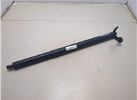 51247432771, 7432771 Амортизатор крышки багажника BMW 2 F46 Gran Tourer 2014-2018 9229269 #3