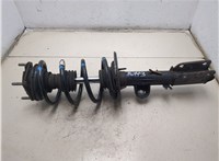 FB5318045DB Амортизатор подвески Ford Explorer 2010-2015 9230303 #6