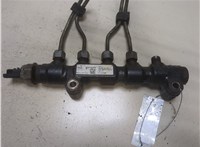  Рампа (рейка) топливная Citroen C4 Grand Picasso 2006-2013 9233151 #1