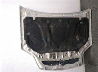 24435346, 13125020, 93172032, 93174807 Капот Opel Vectra C 2002-2008 9235305 #9