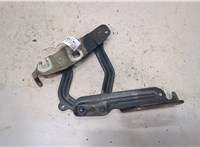 8A6T19800AD Петля капота Ford Fiesta 2012-2019 9236515 #1