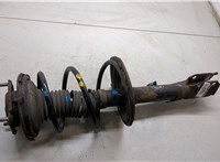 4852049595, 4813142430 Амортизатор подвески Toyota RAV 4 2000-2005 9238475 #6