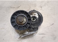  Натяжитель приводного ремня Citroen C8 2002-2008 9238615 #1