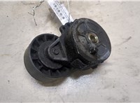  Натяжитель приводного ремня Citroen C8 2002-2008 9238615 #2