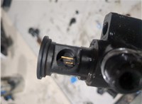 9801125480 Форсунка топливная Citroen Jumper (Relay) 2014-2025 9239343 #3