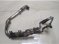  Охладитель отработанных газов Renault Scenic 2003-2009 9239624 #1