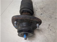 33526767702, 6767702 Амортизатор подвески BMW X5 E53 2000-2007 9242246 #5