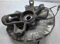 A1663500208, A1663570208, A1663570900 Ступица (кулак, цапфа) Mercedes ML W166 2011-2015 9243906 #3