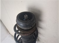 6R0413031C, 6R0411105A Амортизатор подвески Volkswagen Polo 2009-2014 9245029 #5