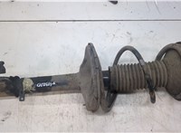  Амортизатор подвески Toyota RAV 4 1994-2000 9245084 #1