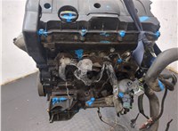 0135JY Двигатель (ДВС) Citroen Berlingo 2002-2008 9246419 #9
