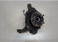 40014CN000, 40202CA010 Ступица (кулак, цапфа) Nissan Murano 2002-2008 9246660 #1