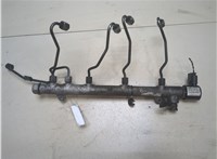  Рампа (рейка) топливная Mercedes E W211 2002-2009 9251508 #1