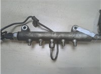  Рампа (рейка) топливная Nissan Navara 2005-2015 9251583 #1