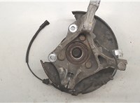 308118, 13248527, 328001, 13502829 Ступица (кулак, цапфа) Opel Zafira C 2011-2019 9253610 #3