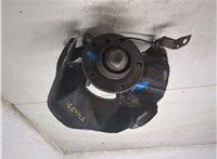 31211096429, 1096429, 31226757024, 6757024 Ступица (кулак, цапфа) BMW 3 E46 1998-2005 9253912 #4