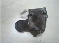  Натяжитель приводного ремня Ford Focus 1 1998-2004 9254748 #1