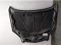 4819345, 4820855 Капот Opel Antara 9255072 #5